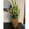 Vaas met sansevieria en natuurlijke accenten
