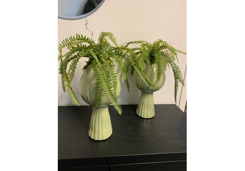 Varen Arrangement in Vaas