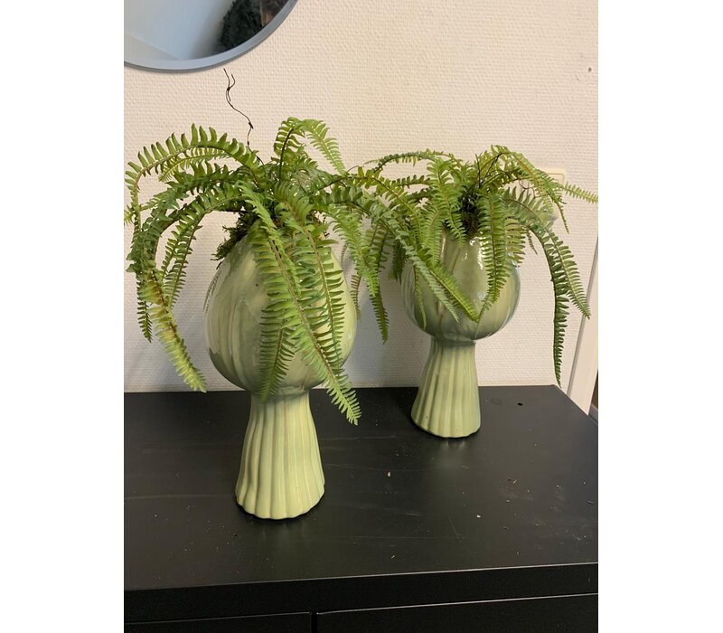 Vaas met hangende varen