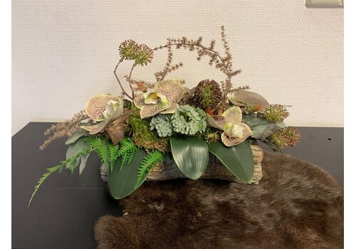 Orchidee Arrangement op Hout