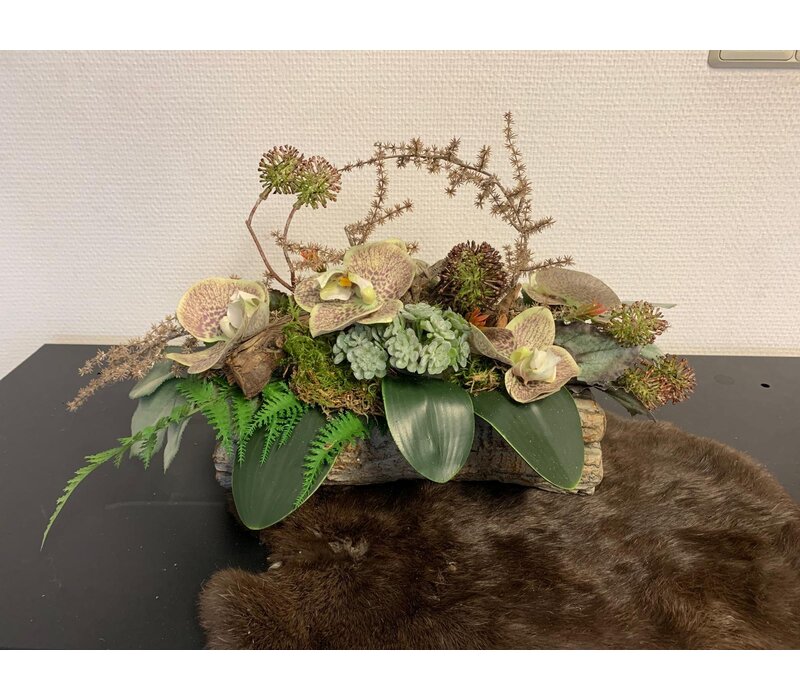 Orchidee arrangement met groen op houtbasis