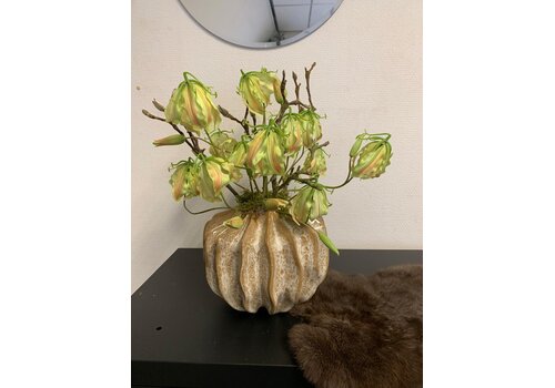 Gloriosa Arrangement in Vaas