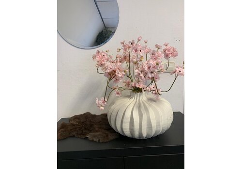 Roze Bloesem in Vaas