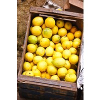 Candied Beldi lemons 220 g