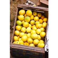 Citrons Beldi confits 220 g