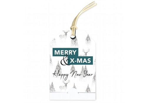 Merry Christmas & Happy New Year greeting card