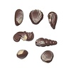 Valentino Chocolatier Fruits de mer artisanaux +/-200 g