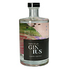 Ginius Gin 50 cl