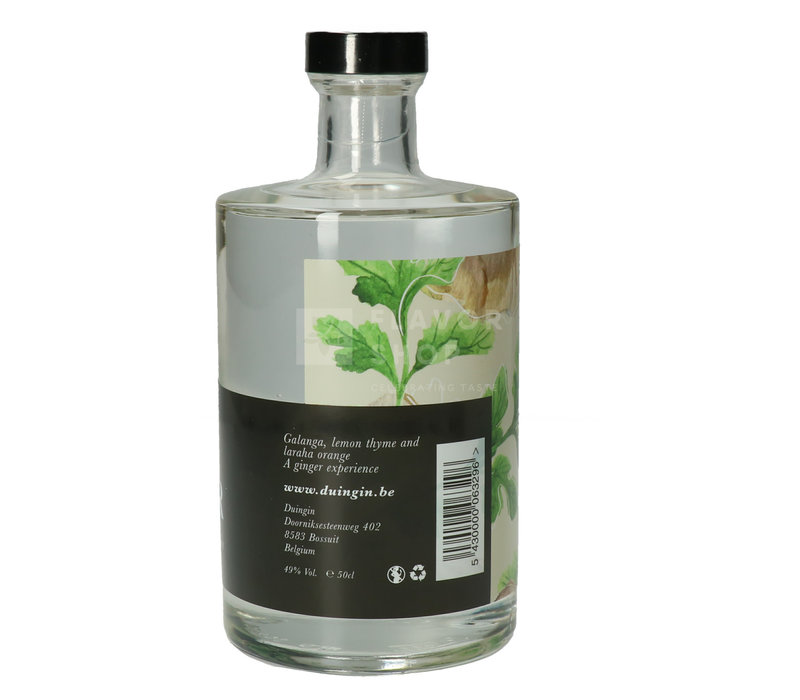 Ginger Gin 50 cl