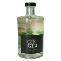 Gin au Gingembre 50cl