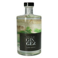 Ginger Gin 50cl