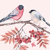 PPD Napkins Joy Birds 33x33 cm