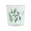 Double-walled glass Gingko