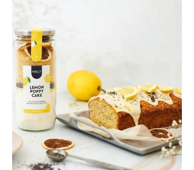 Mischung für Lemon Poppy Cake 383 g