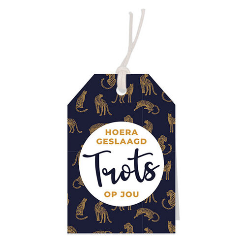Hoera geslaagd - Trots op jou Greeting card 