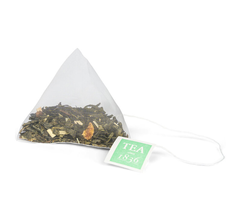 Sencha Lemon theebuiltjes in blik - 10 builtjes (20 g)