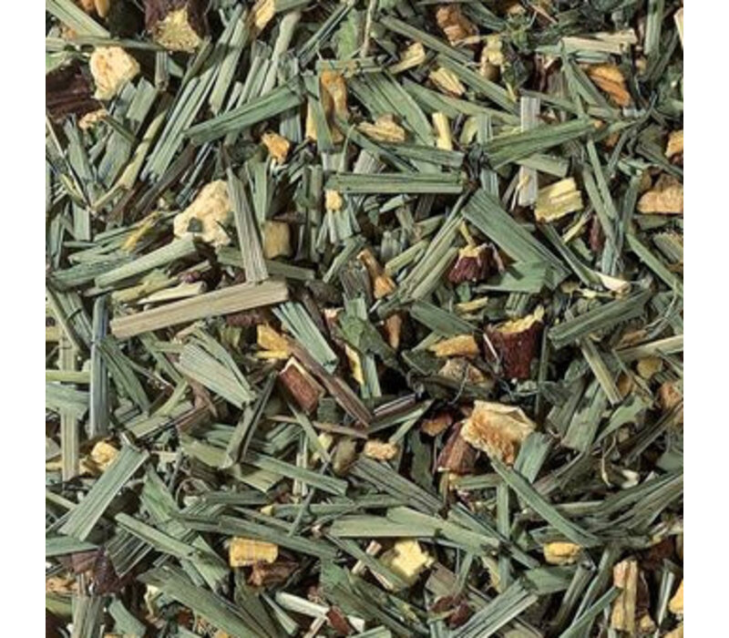 Ginger Fresh theebuiltjes in blik - 10 builtjes (20 g)