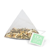 Ginger Fresh theebuiltjes in blik - 10 builtjes (20 g)