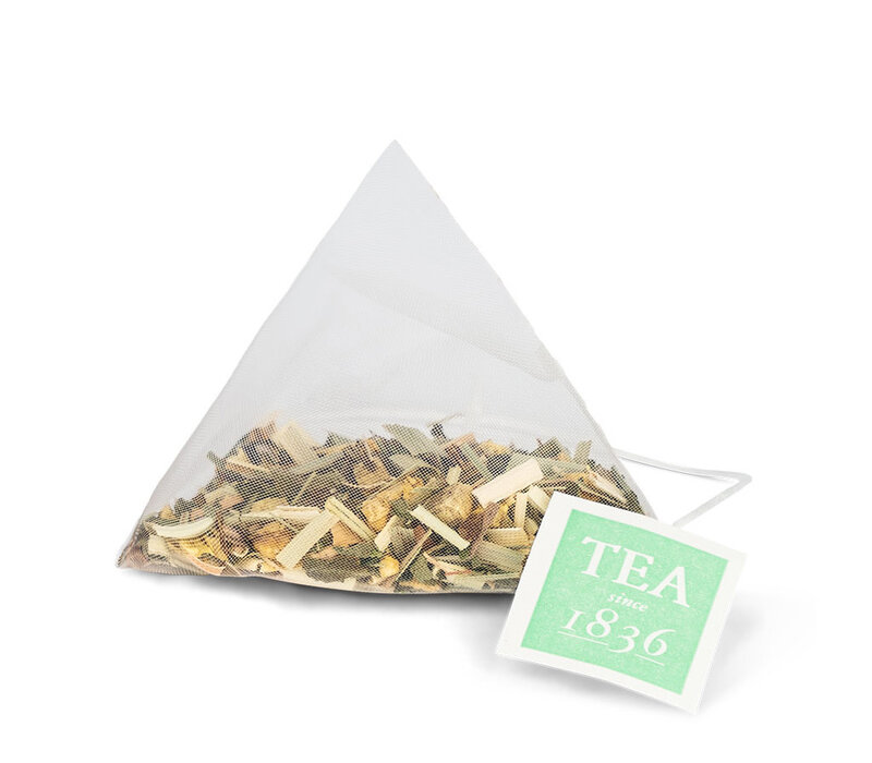 Ginger Fresh theebuiltjes in blik - 10 builtjes (20 g)