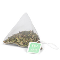 Peppermint theebuiltjes in blik - 10 builtjes (20 g)