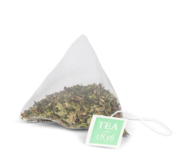 Peppermint theebuiltjes in blik - 10 builtjes (20 g)