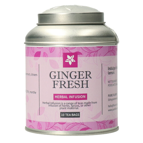 Ginger Fresh theebuiltjes in blik - 10 builtjes (20 g) 
