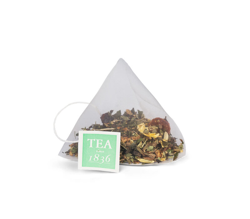 Fennel Delight Tea Bags in Tin - 10 pieces