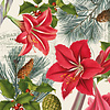PPD Servietten Amaryllis sur beige 25x25 cm