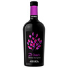 Astoria Icona Cabernet Sauvignon DOC 75 cl