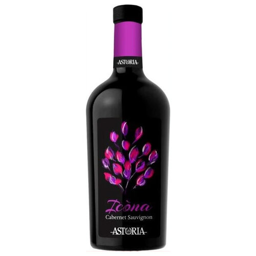 Icona Cabernet Sauvignon DOC 75 cl 
