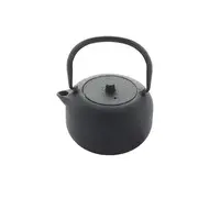 Gietijzeren Theepot 350 ml