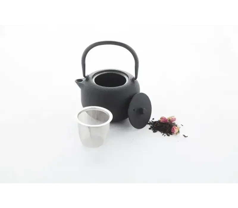 Théière en fonte 350 ml