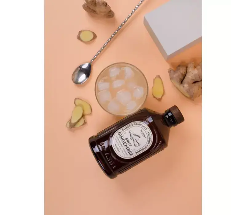 Ingwersirup - BIO 40 cl