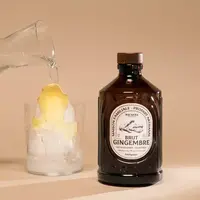 Ingwersirup - BIO 40 cl