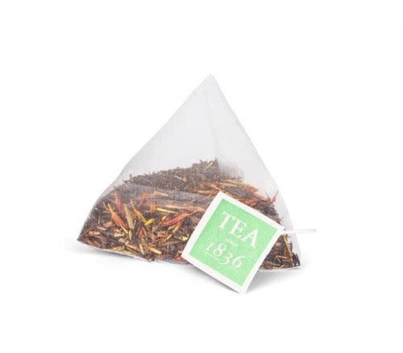 Rooibos Orange Teebeutel in der Dose – 10 Stück