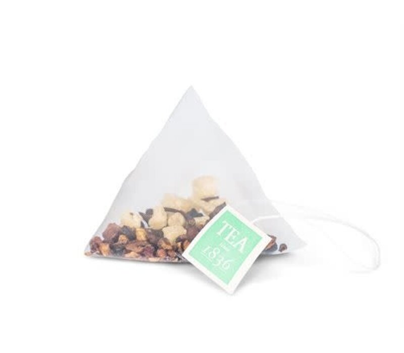Sachets de thé Grapefruit-Lemon en boîte - 10 pièces