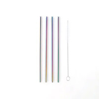 Metalen Cocktail Rietjes Regenboog 21,5cm - Herbruikbaar