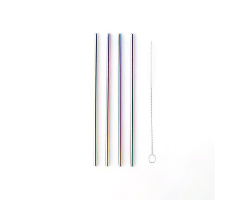 Metalen Cocktail Rietjes Regenboog 21,5cm - Herbruikbaar