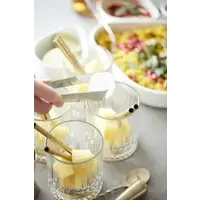 Stainless steel ice tongs