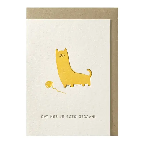 Dat heb je goed gedaan wenskaart 