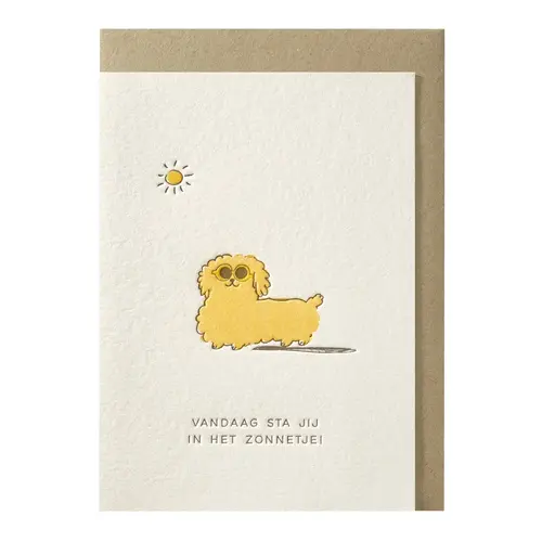 Vandaag sta jij in het zonnetje! greeting card 