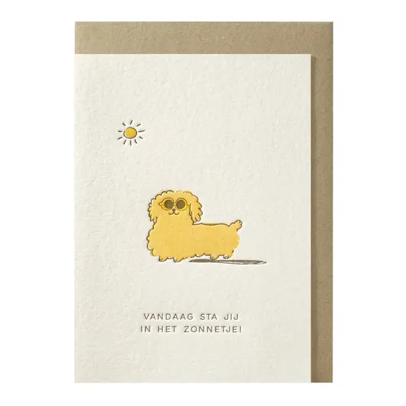 Vandaag sta jij in het zonnetje! greeting card