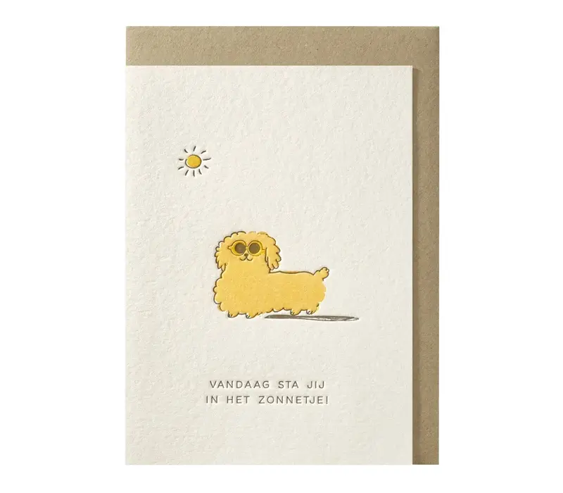 Vandaag sta jij in het zonnetje! greeting card