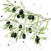 Servietten Olives 33x33 cm