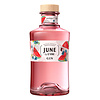 June by G'Vine Watermelon 70 cl*