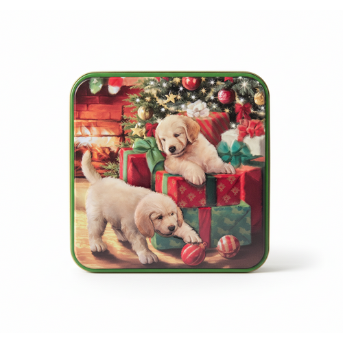 Biscuits Puppies & Presents Boîte 160 g 