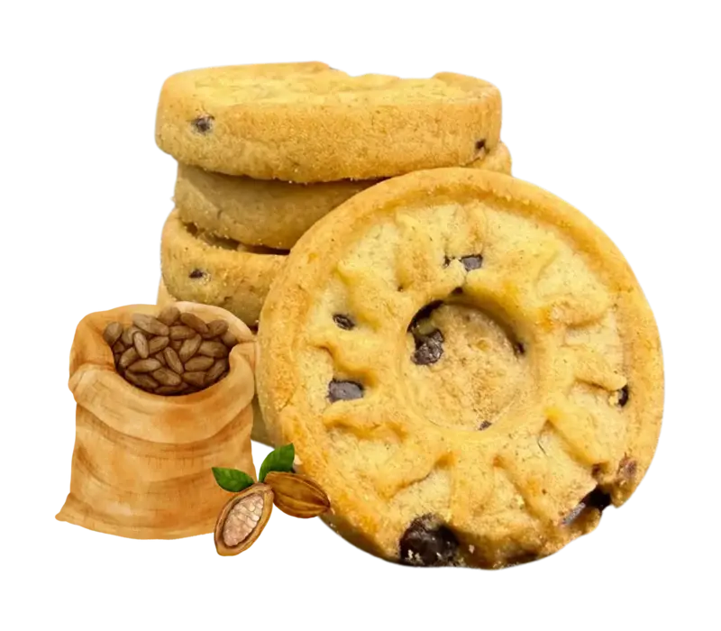 Les palets aux pepites de chocolat 130 g