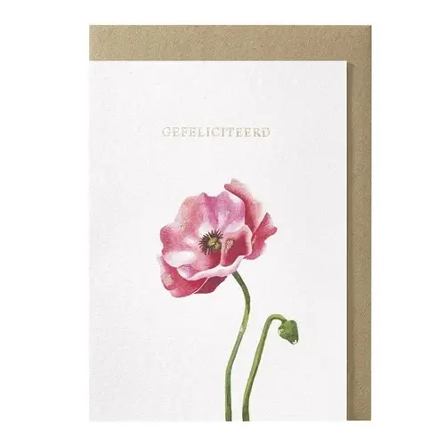Carte de vœux Gefeliciteerd 