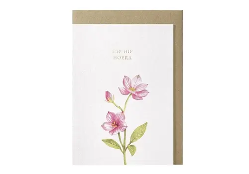 Papette Hip hip hoera greeting card
