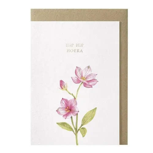 Hip hip hoera greeting card 